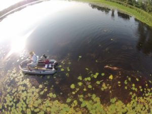 aerial view over water 1