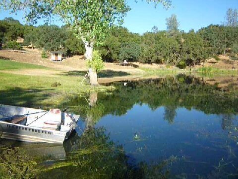 After using the Jenson Lake Mower