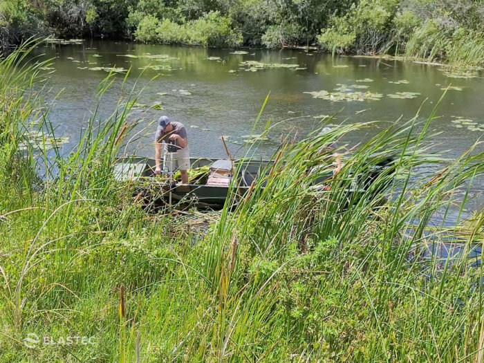 Cutter for cattails bullrush